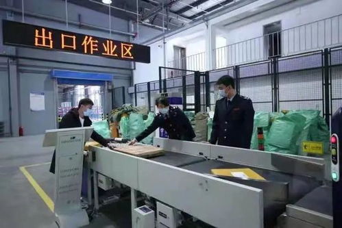 2020年琿春跨境電商一般出口商品貨值8.1億元，億企創(chuàng)助力地方經(jīng)濟(jì)騰飛
